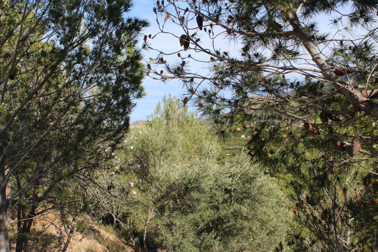 Byggegrund til salg i Alzira - € 150.000 (Ref: 8162469)