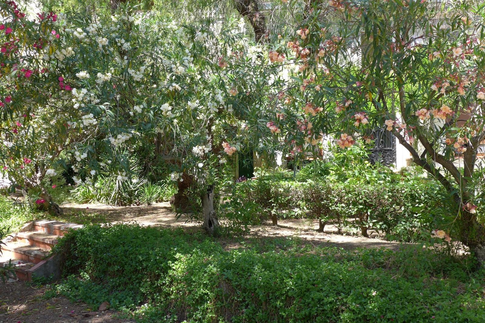 4 camera da letto Casa in vendita in Cocentaina con garage - 540.000 € (Rif: 8344813)