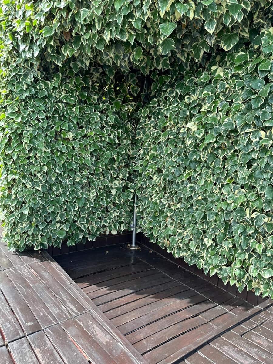 4 soveværelse Villa til salg i Cocentaina med swimmingpool garage - € 630.000 (Ref: 8415166)