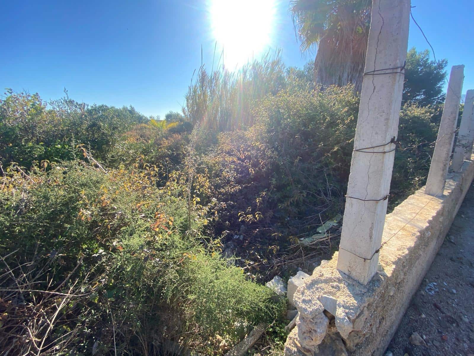 Byggetomt til salgs i Tavernes de la Valldigna - € 554 800 (Ref: 8847473)