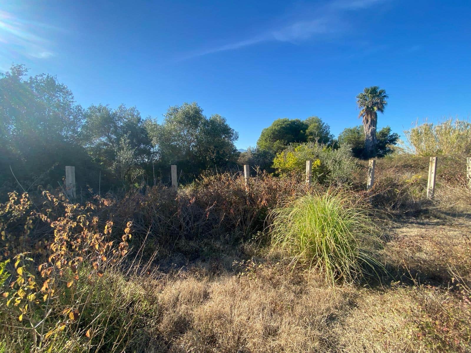 Byggetomt til salgs i Tavernes de la Valldigna - € 554 800 (Ref: 8847473)