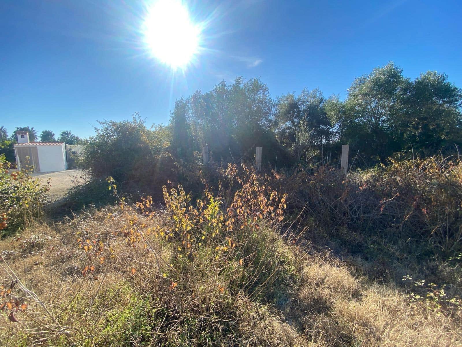 Byggetomt til salgs i Tavernes de la Valldigna - € 554 800 (Ref: 8847473)