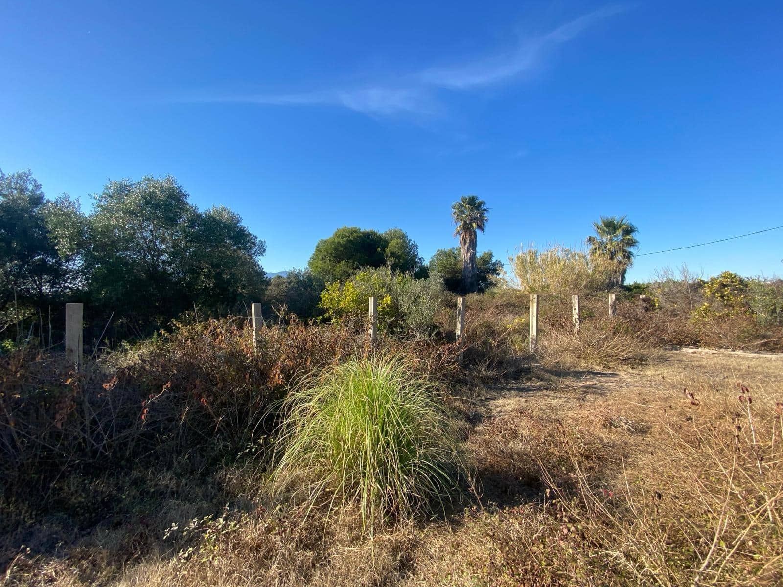 Byggetomt til salgs i Tavernes de la Valldigna - € 554 800 (Ref: 8847473)