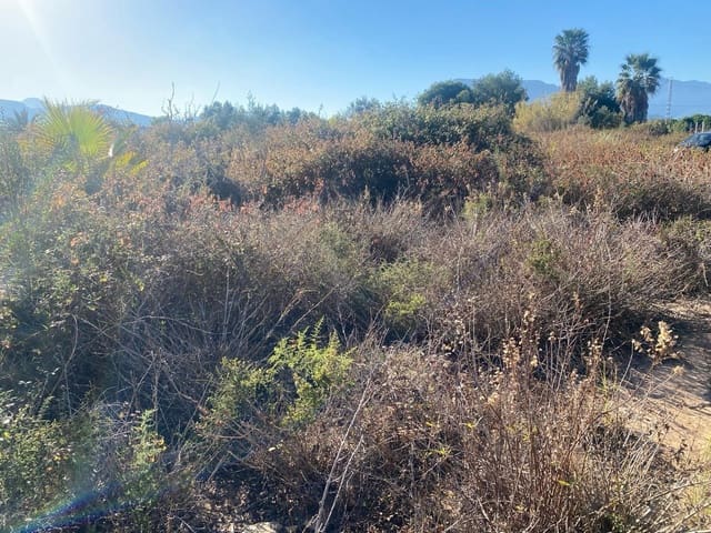 Byggetomt til salgs i Tavernes de la Valldigna - € 554 800 (Ref: 8847473)