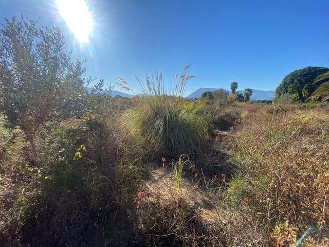 Byggetomt til salgs i Tavernes de la Valldigna - € 554 800 (Ref: 8847473)