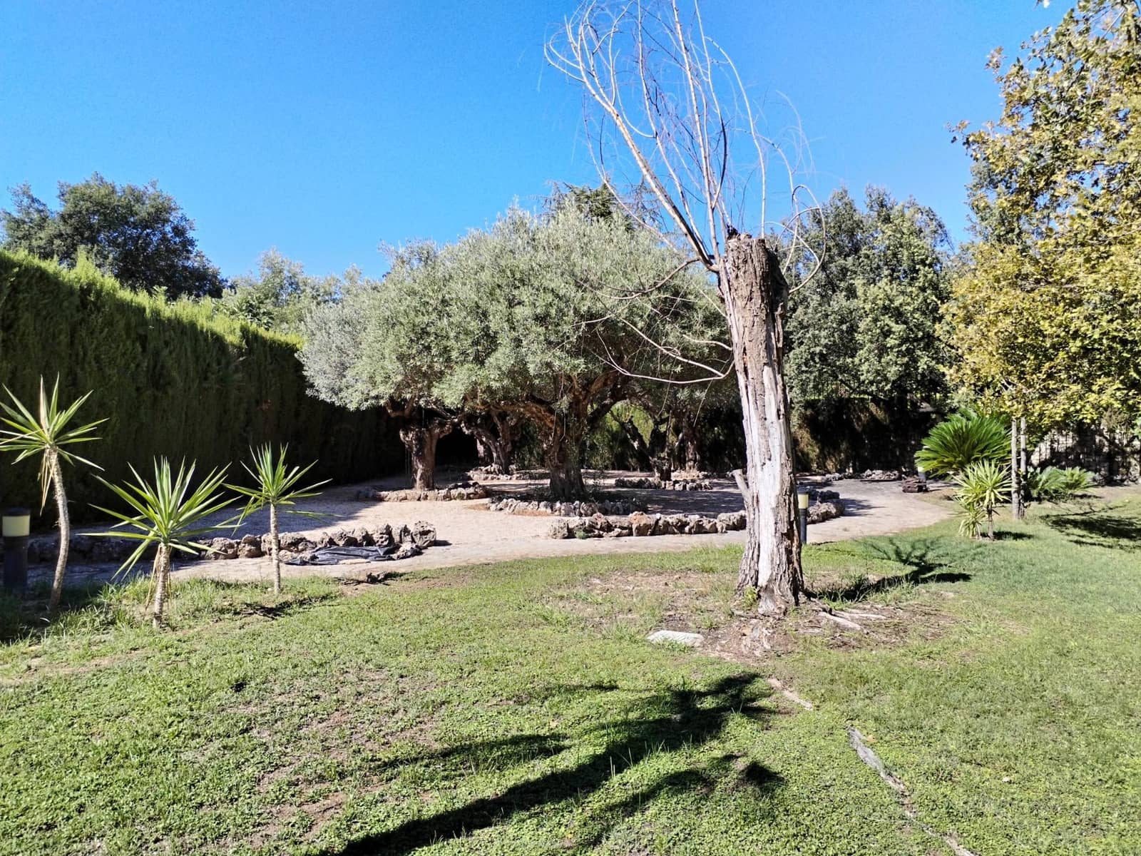 6 sypialnia Willa na sprzedaż w Cocentaina z garażem - 600 000 € (Ref: 8918040)