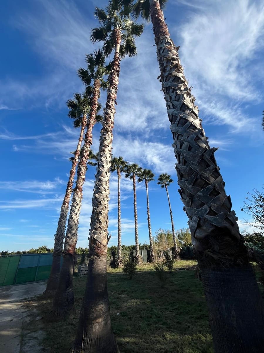 4 sovrum Villa till salu i Xeraco - 170 000 € (Ref: 9440070)