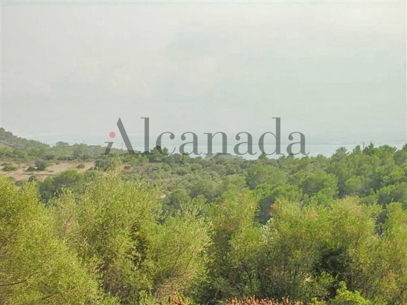 Building Plot for sale in Alcudia - € 423,200 (Ref: 3111496)