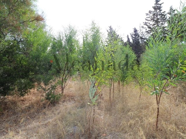 Building Plot for sale in Alcúdia - € 287,000 (Ref: 3111577)