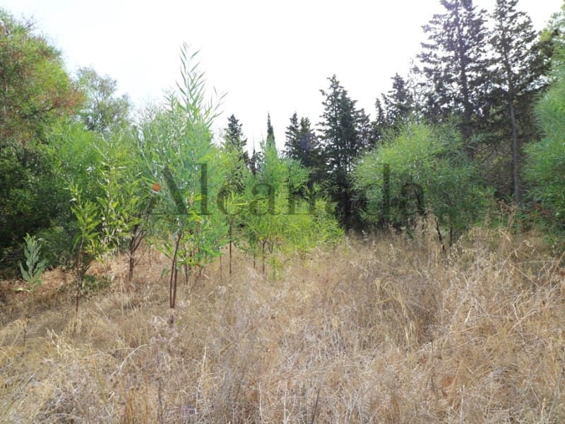 Terrain à Bâtir à vendre à Alcudia - 287 000 € (Ref: 3111577)