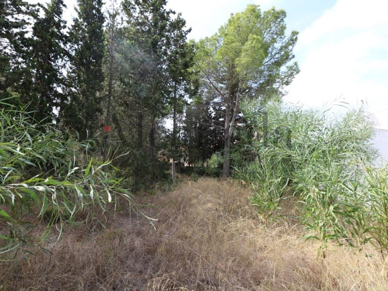 Terrain à Bâtir à vendre à Alcudia - 287 000 € (Ref: 3111577)