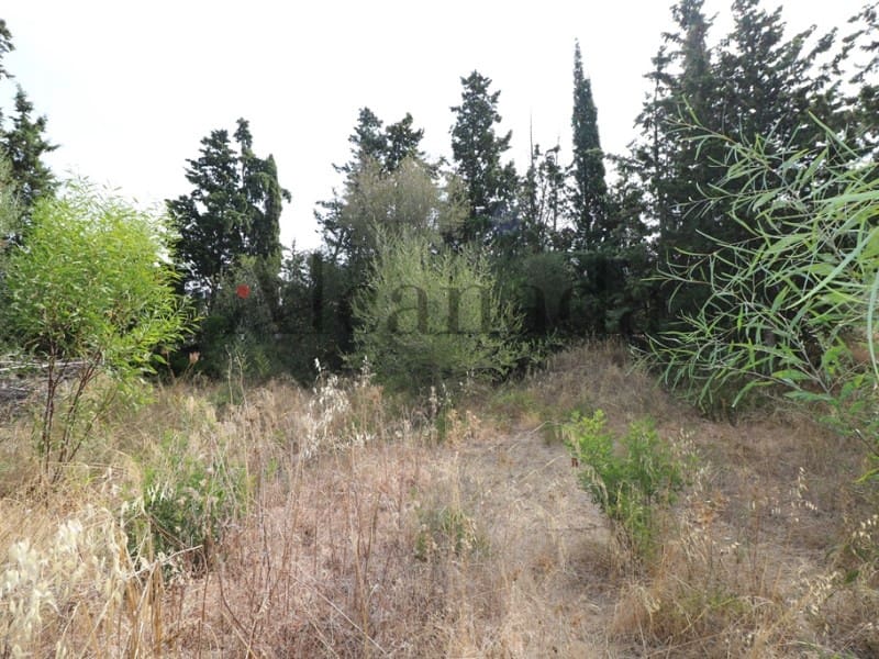 Terrain à Bâtir à vendre à Alcudia - 287 000 € (Ref: 3111577)