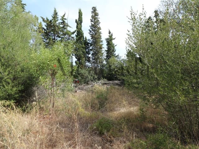 Building Plot for sale in Alcúdia - € 287,000 (Ref: 3111577)