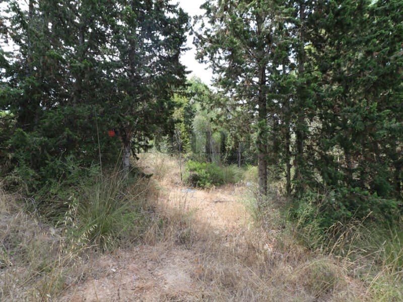 Terrain à Bâtir à vendre à Alcudia - 287 000 € (Ref: 3111577)