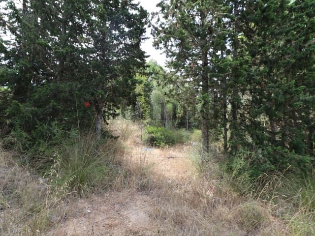 Building Plot for sale in Alcúdia - € 287,000 (Ref: 3111577)