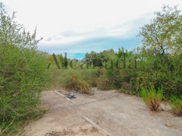 Tomt till salu i Pollensa / Pollença - 110 000 € (Ref: 3111610)