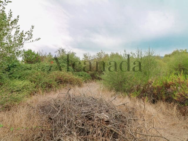 Tomt till salu i Pollensa / Pollença - 110 000 € (Ref: 3111610)