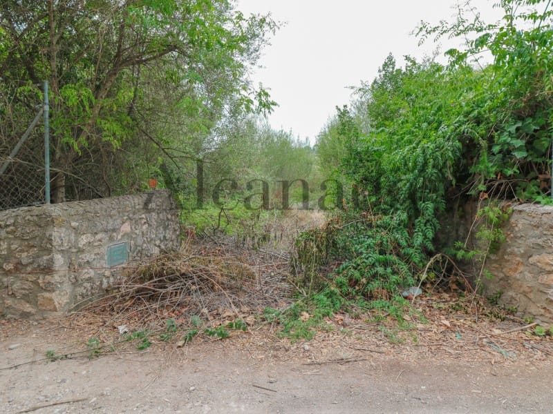 Byggetomt til salgs i Pollensa / Pollenca - € 110 000 (Ref: 3111610)