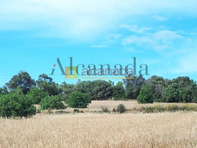 Grond te koop in Muro - € 47.000 (Ref: 3111709)