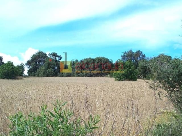 Grond te koop in Muro - € 47.000 (Ref: 3111709)