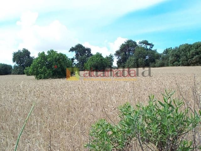 Grond te koop in Muro - € 47.000 (Ref: 3111709)