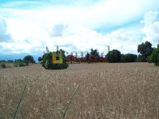 Grond te koop in Muro - € 47.000 (Ref: 3111709)