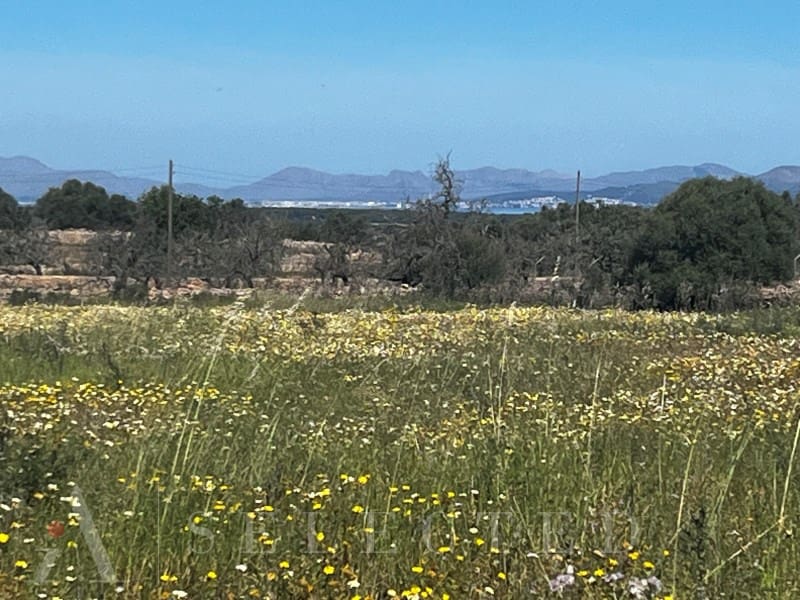 Grunde uden byggetilladelser til salg i Petra - € 480.000 (Ref: 3111721)