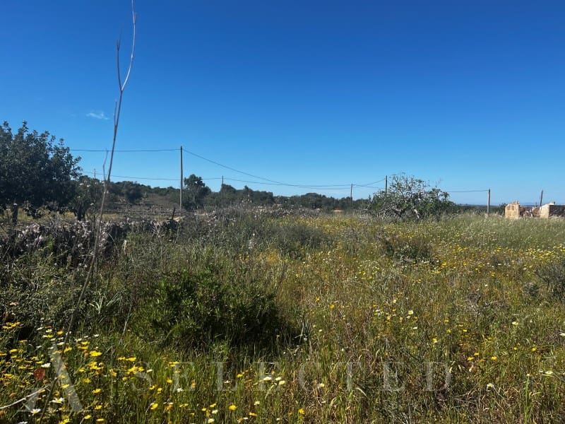 Grunde uden byggetilladelser til salg i Petra - € 480.000 (Ref: 3111721)