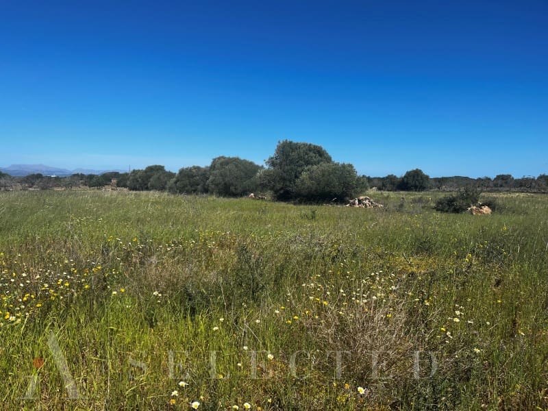 Grunde uden byggetilladelser til salg i Petra - € 480.000 (Ref: 3111721)