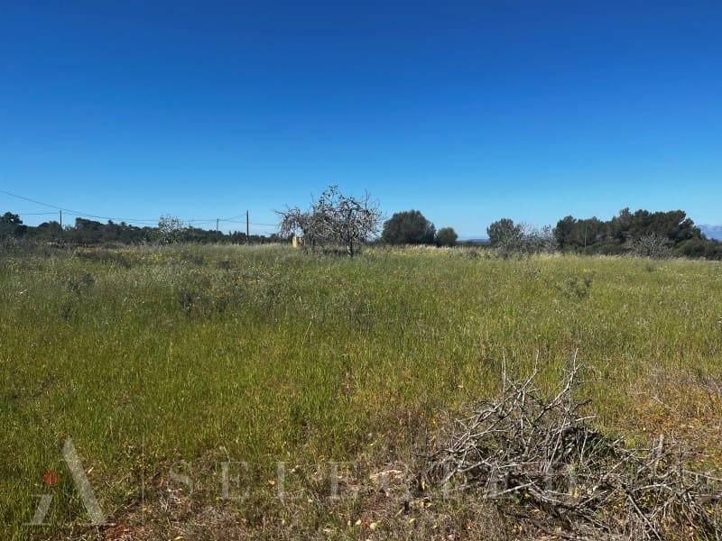 Grunde uden byggetilladelser til salg i Petra - € 480.000 (Ref: 3111721)