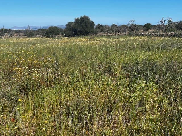 Grond te koop in Petra - € 480.000 (Ref: 3111721)