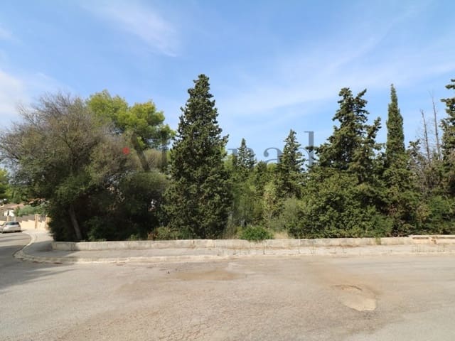 Solar/Parcela en Alcúdia en venta - 239.000 € (Ref: 3111735)