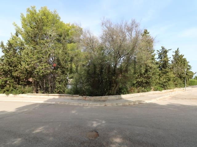 Solar/Parcela en Alcúdia en venta - 239.000 € (Ref: 3111735)