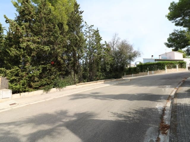 Solar/Parcela en Alcúdia en venta - 239.000 € (Ref: 3111735)