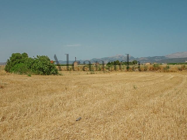 Villa til salg i Muro - € 157.000 (Ref: 3111767)