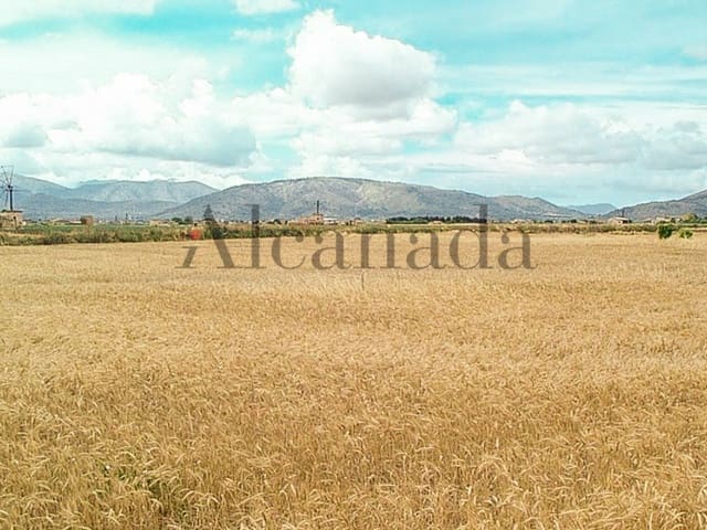 Villa til salg i Muro - € 157.000 (Ref: 3111767)