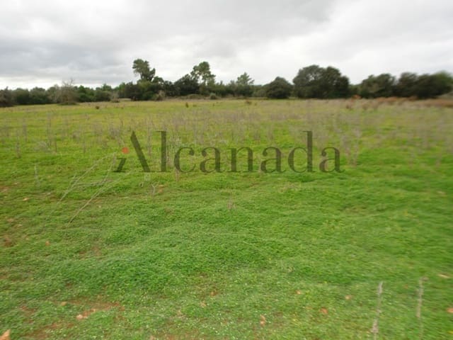 Mark till salu i Porreres - 235 000 € (Ref: 3111778)