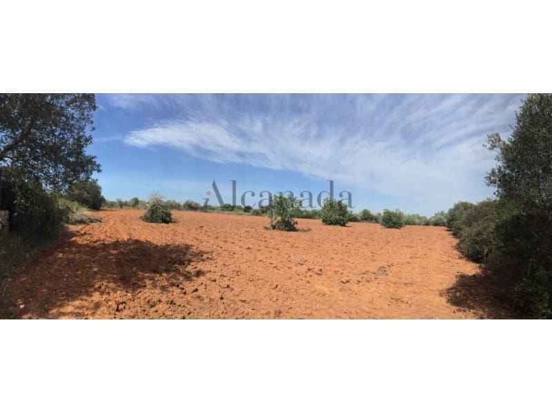 Grunde uden byggetilladelser til salg i Porreres - € 235.000 (Ref: 3111778)