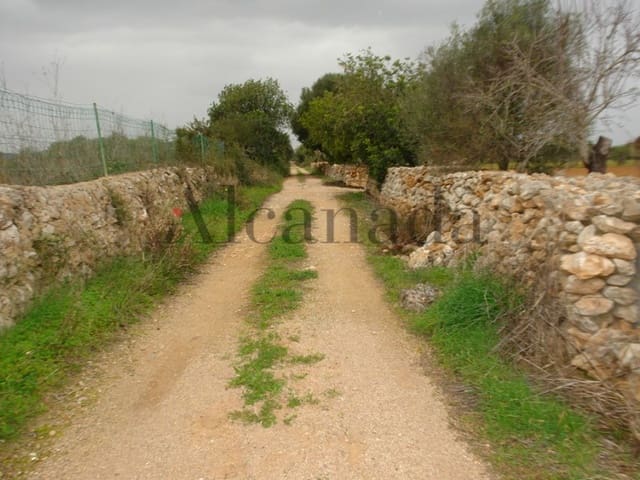 Mark till salu i Porreres - 235 000 € (Ref: 3111778)