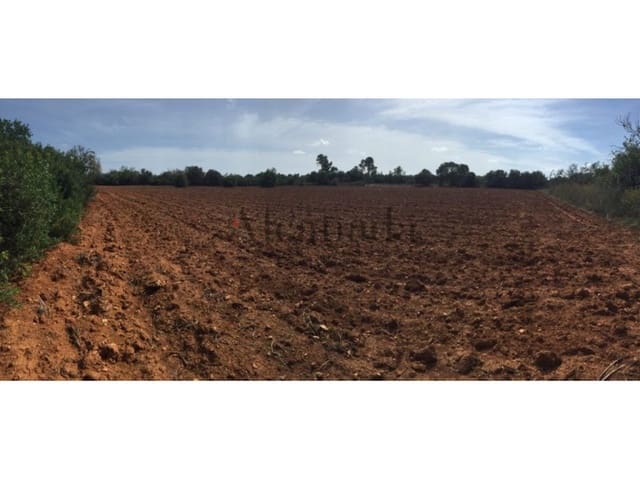 Mark till salu i Porreres - 235 000 € (Ref: 3111778)