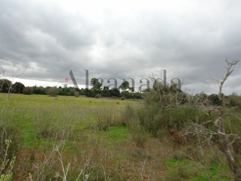 Grunde uden byggetilladelser til salg i Porreres - € 235.000 (Ref: 3111778)