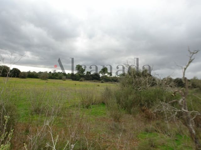 Mark till salu i Porreres - 235 000 € (Ref: 3111778)