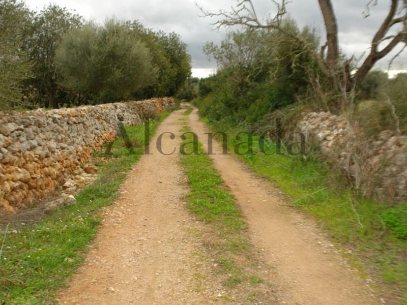 Grunde uden byggetilladelser til salg i Porreres - € 235.000 (Ref: 3111778)