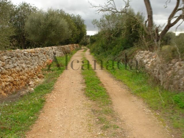 Mark till salu i Porreres - 235 000 € (Ref: 3111778)