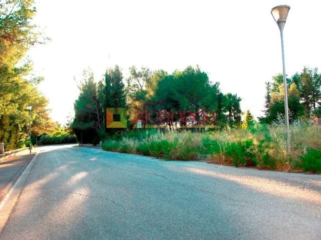 Tontti myytävänä paikassa Alcúdia - 180 000 € (Ref: 3111837)