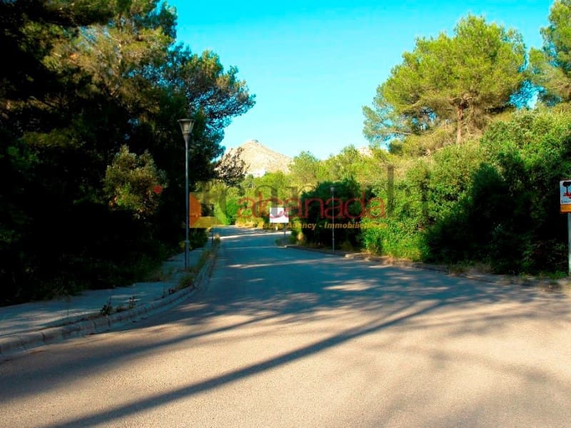 Building Plot for sale in Alcudia - € 180,000 (Ref: 3111837)