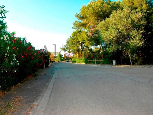 Tontti myytävänä paikassa Alcúdia - 180 000 € (Ref: 3111837)