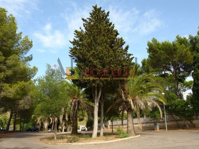 Building Plot for sale in Alcudia - € 180,000 (Ref: 3111837)