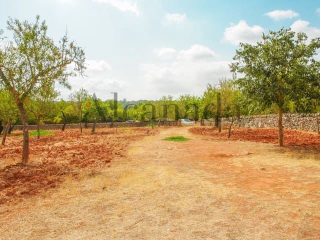 Villa til salg i Llubí - € 138.000 (Ref: 3111941)