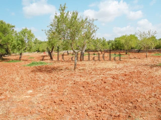 Villa til salg i Llubí - € 138.000 (Ref: 3111941)